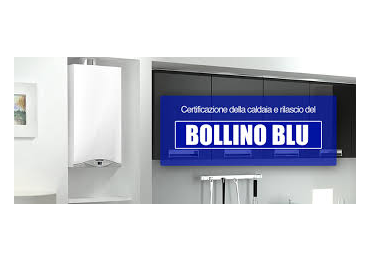 Info Box Image
